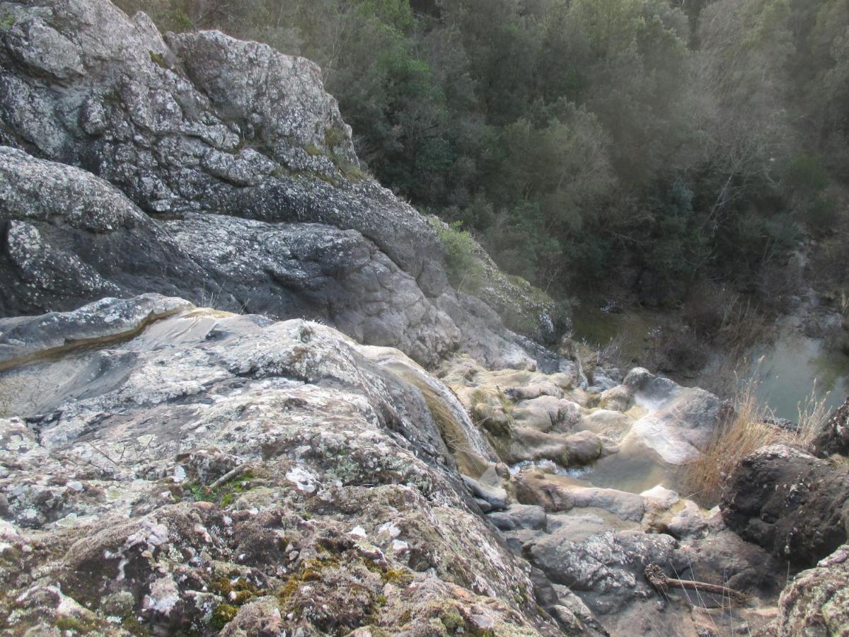 Podere Pian Dei Gelsi Volterra Ngoại thất bức ảnh