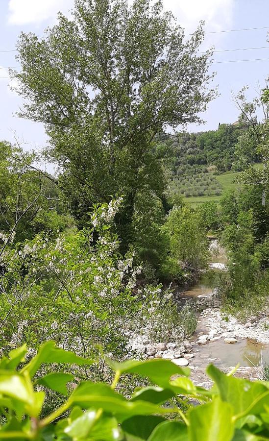 Podere Pian Dei Gelsi Volterra Ngoại thất bức ảnh
