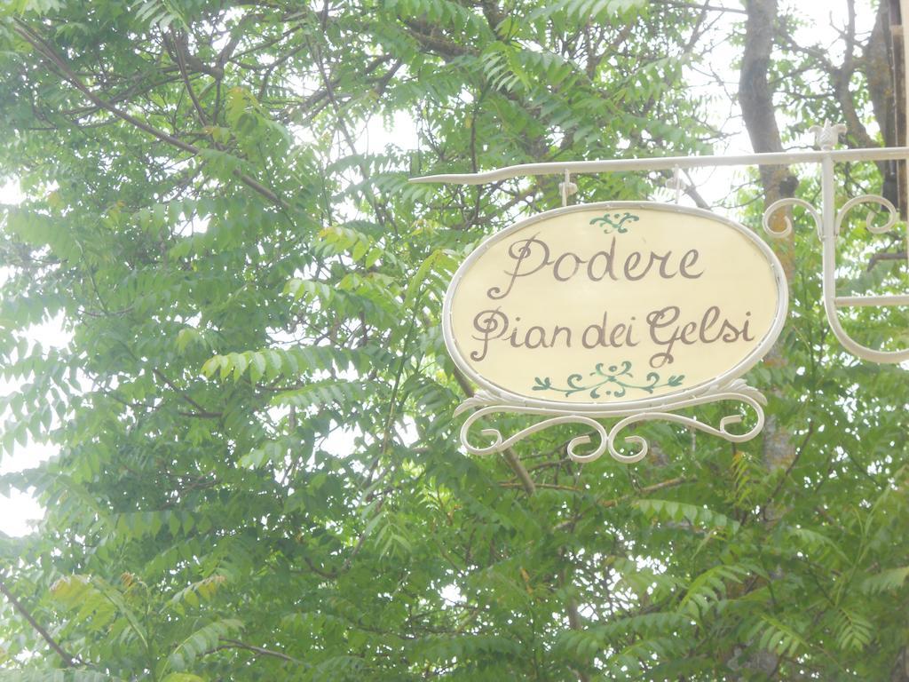Podere Pian Dei Gelsi Volterra Ngoại thất bức ảnh