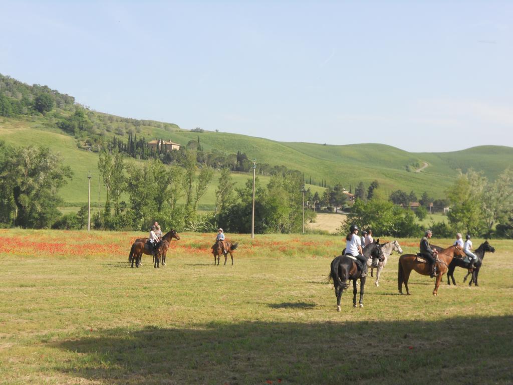 Podere Pian Dei Gelsi Volterra Ngoại thất bức ảnh